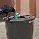 ��� �� �� ����� ���� ��� ��� ����� � ...