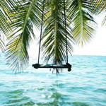 ���� ��� �� �������