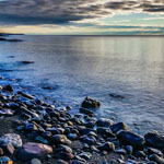 ���� ����� ������