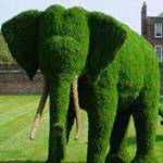 ���� ��� �� ����� ��