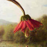 ������� �� ������ �� ������