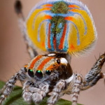 ������ ������� �� ���� ����� ������