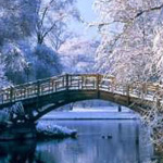 ���� ���ڡ ������