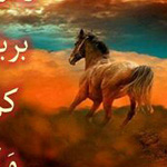 ����� �����