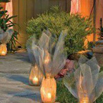 �� ������� ��� ���� ����� 