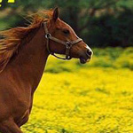 ���� �� ���� ����� ������� �� ������ ��� ���� ��� ��� �� ��