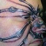 ��� ��� �����