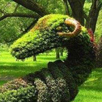 ������� �������� �� �������� ����