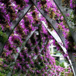 ����� ��������ϡ ��������