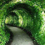 ����� ������ - ����� �����ɡ ������� �������