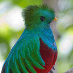 ������ ����� ����� ������