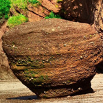 ���� ���� ���� �� ������