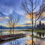 ����� ���������