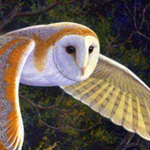 ����� ���