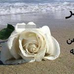 ���� ����� �����