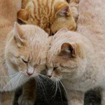 ���� ���� �� ���� ���� �������