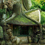 ���� ���� �� ��� ���