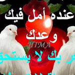 ������� ���� ������ ��