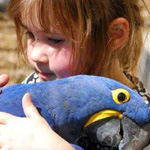 ������ ��� �����