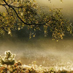 ������ ������� :-)