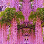 ���� ��������� ������ �������