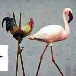 �����������������