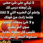 ���� ������