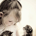 �������� ���� ����� �������� ��������� �������� 