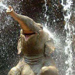 ������� ����� ����� ����