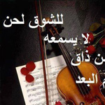 ������ ��� ���� ���� ������ 