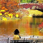 ���� ����� �� ����� ������ ���� �� �������