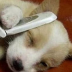 ���� ... ����... ����� �� ���� :-)