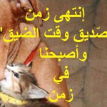 ����� ��� ������ �� ��� �����