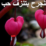 ���� ���� �����