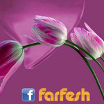 ���� �������