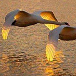 ������ ���� ������ ��� ����� ������..