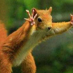 ���� �������