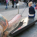 ��� 3d �� ���� �������