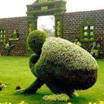 ����� �� �� ����� �������