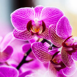 ���� ����� �������� �� ���� ������