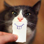 ���� �����..