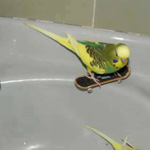 ���� ����� ��� ���� �����