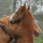 �� ���� ���� ����