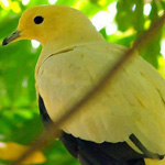 �� ������ ����� ������ ������