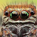 �� ���� ��� ���� ���� �� 40000 ��� �� ������� �� ������