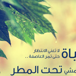  ��� ���� ����� ����� ����� �� ������ ������ ������