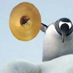 ���� �� ���� ��� ������...�����