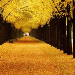 ���� ����� �� ������� ������ ������