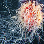 ���� ����� ���� ����� ����� �����