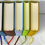 ���� ���� �� ������ ����